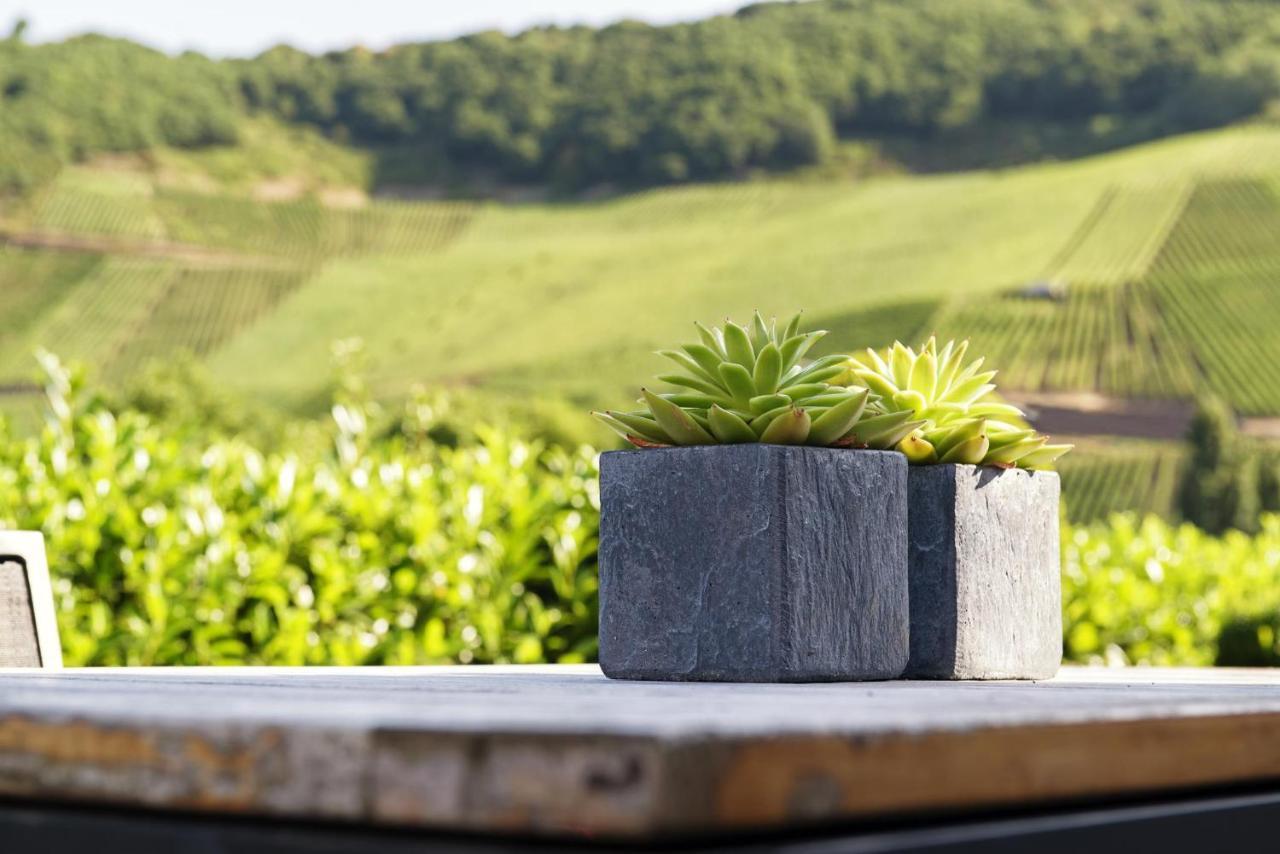Weingut & Gaestehaus Christoph Cluesserath Trittenheim Exterior foto
