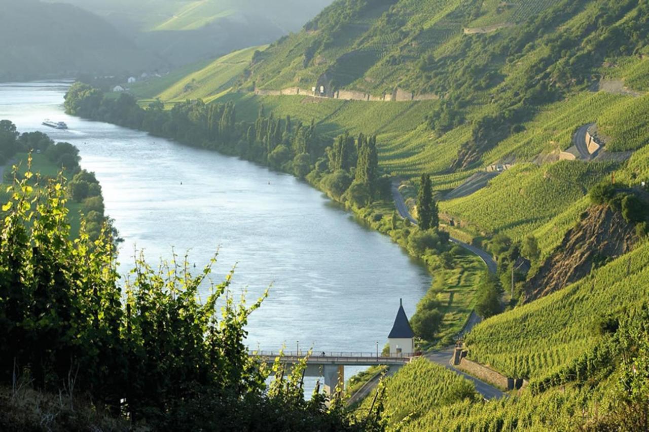 Weingut & Gastehaus Christoph Clusserath Trittenheim Exterior foto