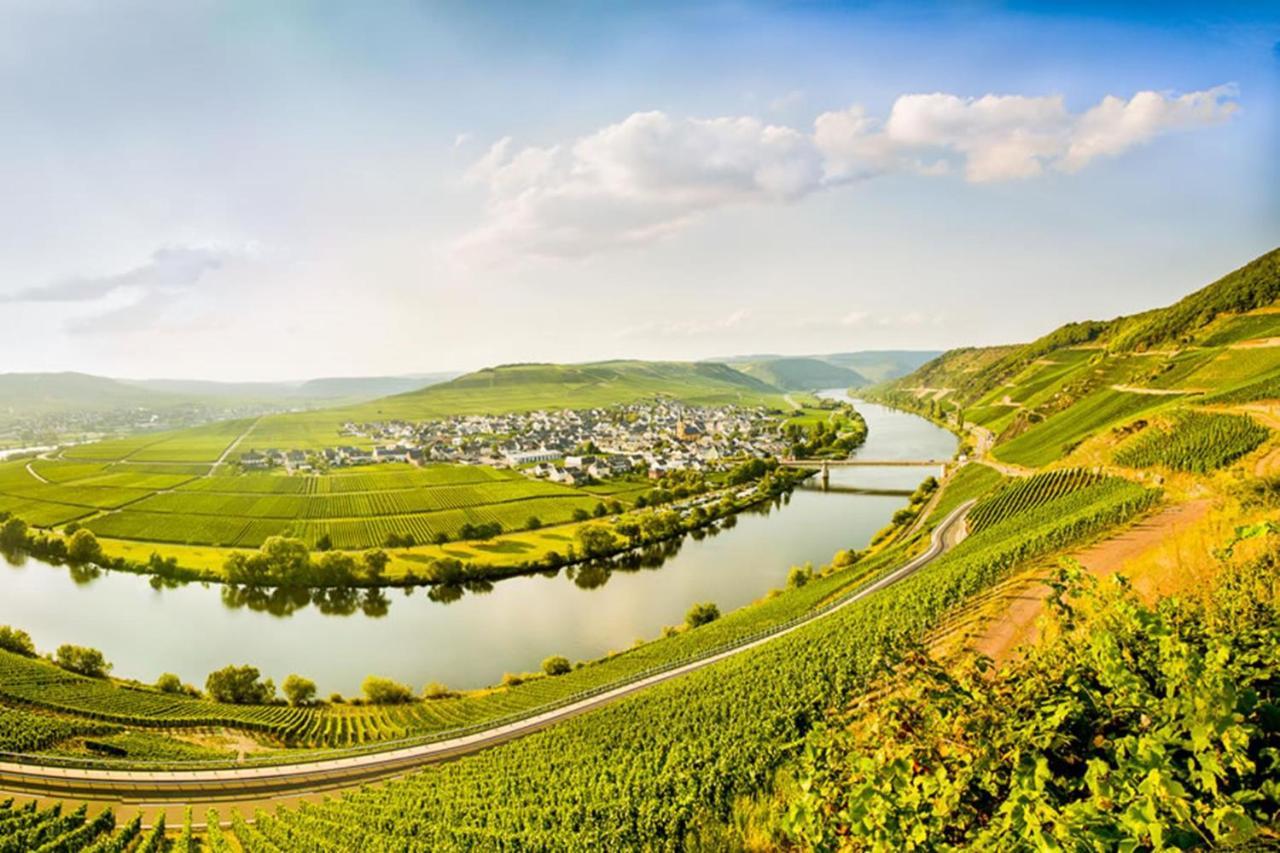 Weingut & Gaestehaus Christoph Cluesserath Trittenheim Exterior foto